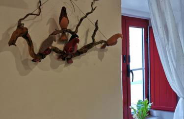 4Bs - Birds & Bicycles - Foto 9