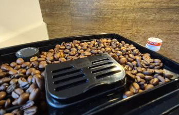 Ferienapartment Wilma - Foto 13