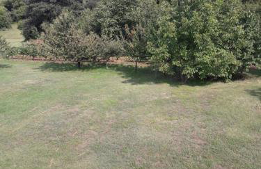 Exclusive Apartment Ana Marija - Foto 13