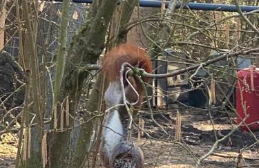 Ferien im Bomlitztal - Foto 54