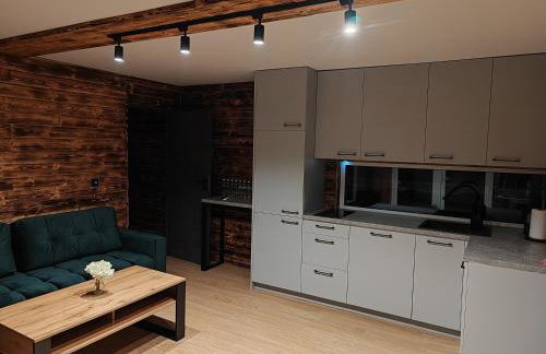 Apartament Glamour II Kleszczów - Foto 11