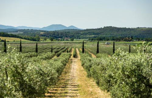 Tenuta Il Cicalino - Foto 49