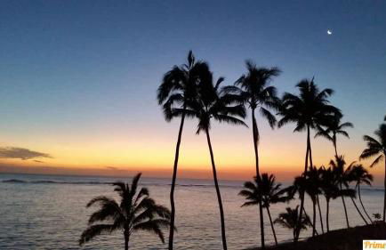 Ground Level Beachfront Studio - Photo 22