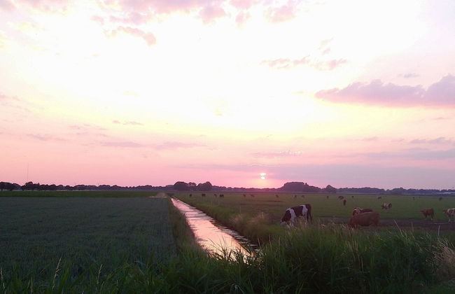 Cozy Vacation Home With Terrace - Photo 39