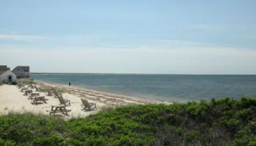 Cozy Beach Bungalow - Photo 2