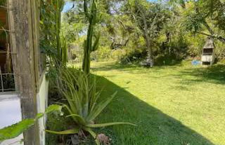 Sítio magia do Sol - Foto 30