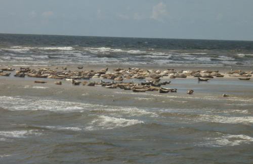 Apartment Radmokerhuus - Foto 31