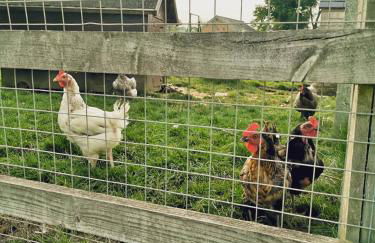 The Lakehouse Onsite Free Pools & Spa - Foto 46