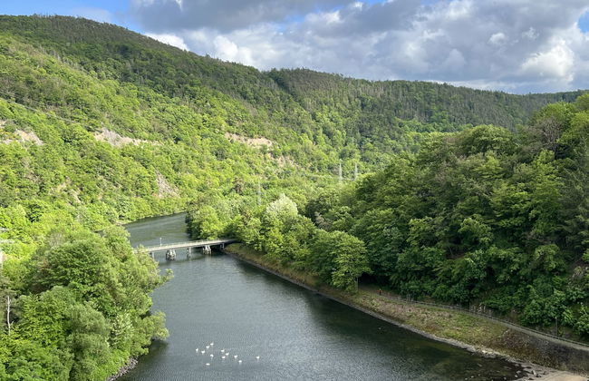 Familie Zinser - Foto 30
