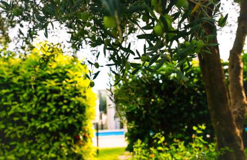 Residence Nonna Mariuccia - Foto 23