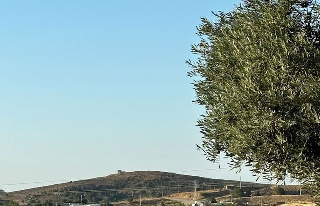 Zeus kır evi - Photo 23