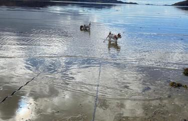 Brackenbrae Holiday Cottage - Photo 35