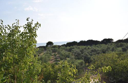 Ktima Βilioni - Foto 43