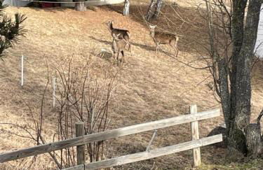 Chalet L'Eider - Foto 25