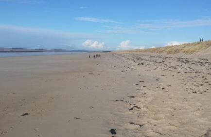 La Victoire - Foto 52