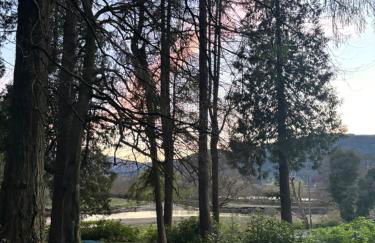 North Lodge Kilmun - Foto 73