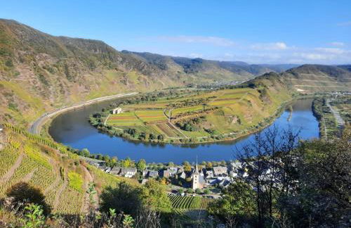 Winzerhaus Schenk - Photo 11