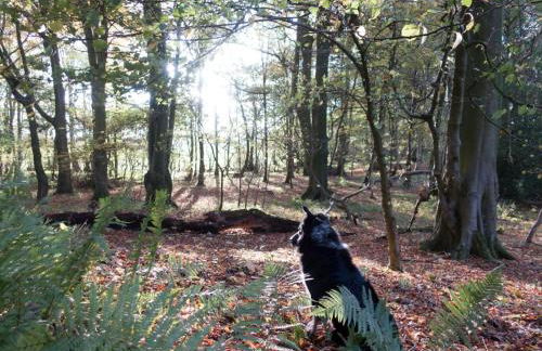 4 Bed in Carnforth oc-54457 - Foto 37