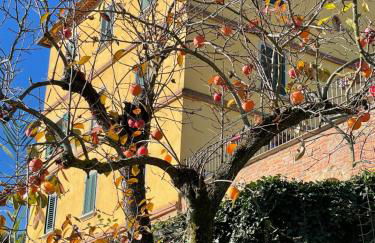 RESORT Panoramico Canale Suite - private parking - Natural Park - Photo 72