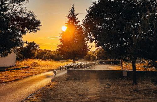 Villa Toni by BOTANICA Traditional stone house - Foto 41