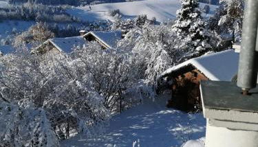 Forest Haven - Foto 5