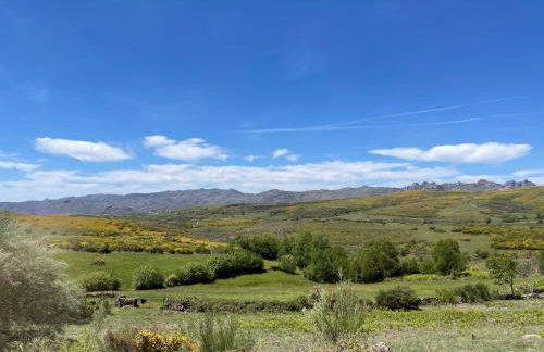 Casa do Terrado - Photo 40