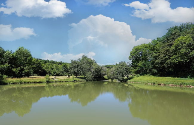 La Mandrélie - La Cabane Du Grand Chêne - Foto 12
