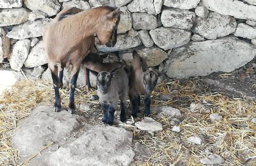 Le Grotte di Sileno - Foto 57