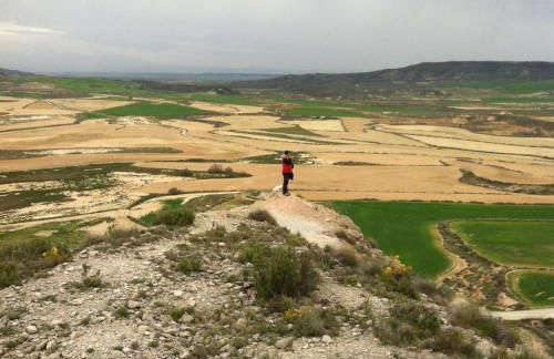 Apartamento El Estrecho de Arguedas - Foto 28