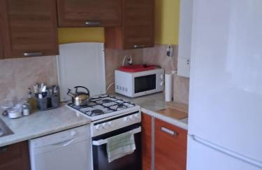 Mieszkanie z widokiem na góry Karpacz Sosnówka - Foto 29