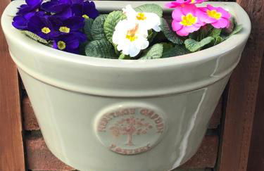 Corner Cottage - character, charm, great location. - Foto 19