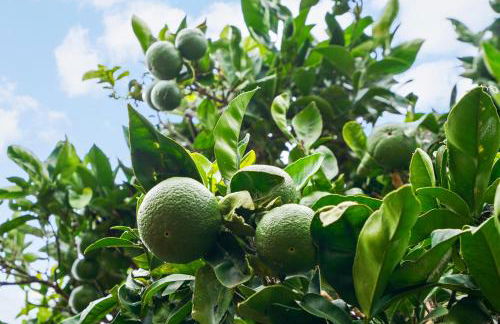 Dog Friendly Home Near the Beach with Grill, Fire Pit, Enclosed Backyard - Foto 24