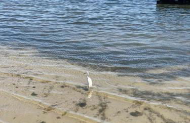 Mar Menor Elisa Apartment - Foto 42