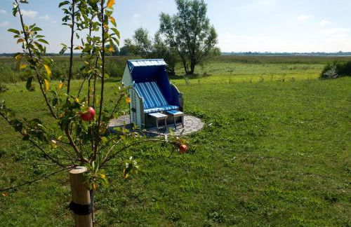 Dänische Ferienhäuser am Salzhaff Haus Vogelparadies - Foto 16