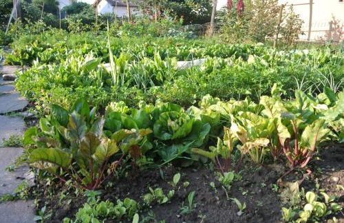 Agriturismo Bortolotti - Foto 40