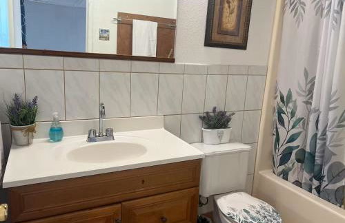 硅谷附近交通便利的温馨住宿 - Foto 35