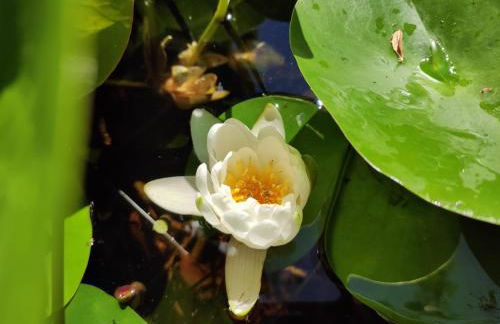 Anette's nettes Dachjuchhe - Foto 36