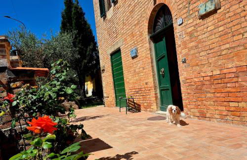 La Rosa Rossa - Foto 1