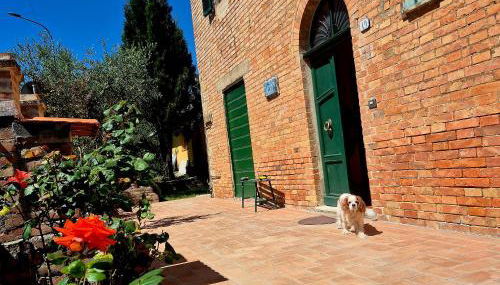 La Rosa Rossa - Foto 1