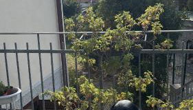 Villa Fontana 56 - Foto 5