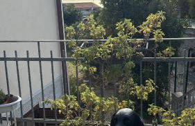 Villa Fontana 56 - Foto 5