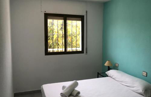 TARONGERS 7 - Foto 5