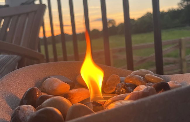 Circle T Mini Farms - Foto 7