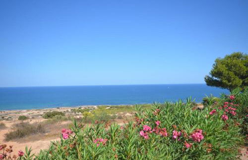 APCOSTAS - Gran Vista - Photo 71