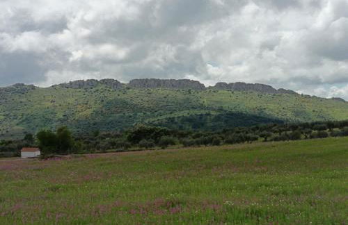 Apartamento La Bella Vista ATBA00361 - Foto 21