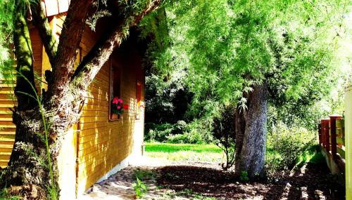 Domek nad Paklicą - Foto 3, Garden, Garden view