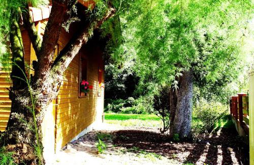 Domek nad Paklicą - Foto 3