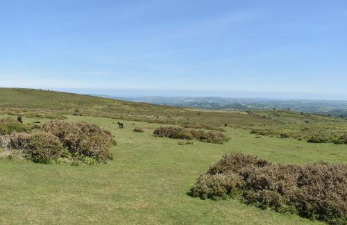 Beech Tree Cottage At Blackaton Manor Farm - Foto 20