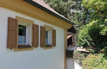 Haus Am Stadtschloss FeWo 3 Zimmer Küche Bad - Foto 30