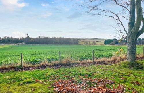 The Cabins at Redroofs - Photo 15